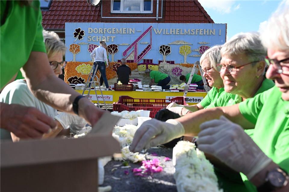 Viele Ehrenamtliche stecken Dahlien, um damit die Motivwagen zu schmücken. Lars Penning/dpa