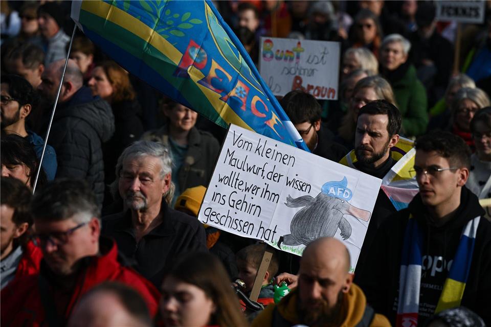 Viele Friedensfahnen und so manche Botschaft waren auf der Demo in Mainz zu sehen. Arne Dedert/dpa