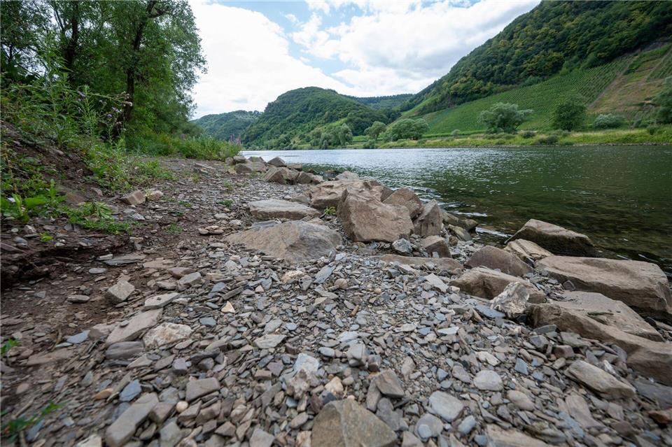 Viele Gewässer in Rheinland-Pfalz führen zurzeit deutlich weniger Wasser. (Archivbild)Harald Tittel/dpa