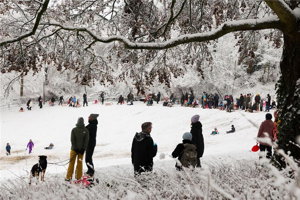 Viele Menschen genießen den Winter beim Rodeln und Spazierengehen im Jenischpark in Hamburg.Christian Charisius/dpa