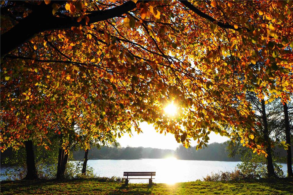 Viele Patienten der Schlossklinik wählen einen Lieblingsplatz zu ihrem Kraftort, zu dem sie sich jederzeit hindenken können.