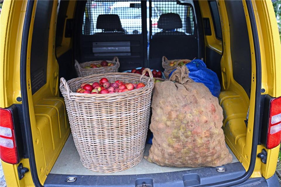 Viele Sachsen bringen derzeit Äpfel aus ihren Gärten oder von Streuobstwiesen in die Keltereien. Der Andrang dort ist groß. Jennifer Brückner/dpa