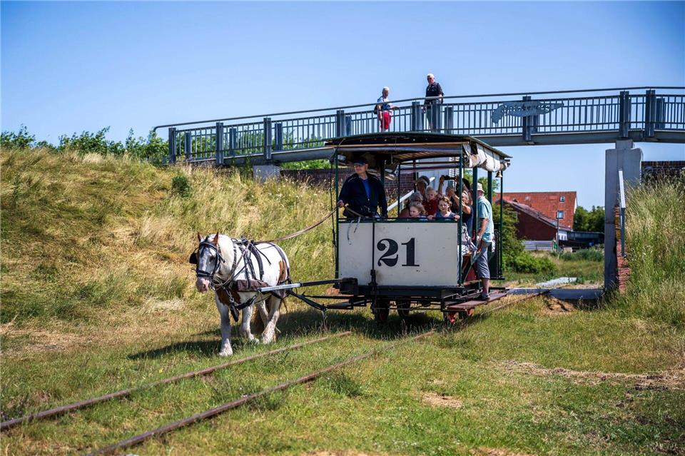 Viele Urlauber fahren im Sommer gern mit der historischen Pferdebahn. (Archivbild)Sina Schuldt/dpa