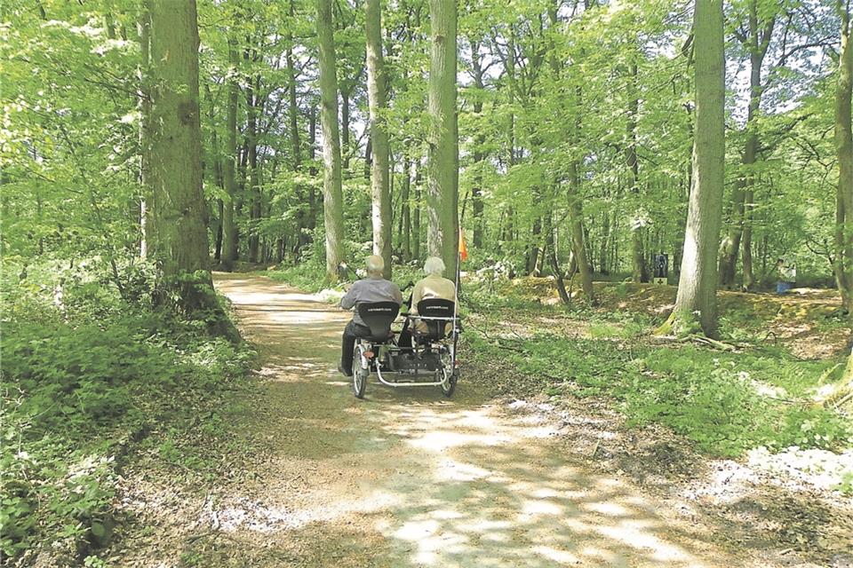 Viele Wege im Raesfelder Tiergarten sind sogar mit einer Rollfiets gut zu bewältigen.