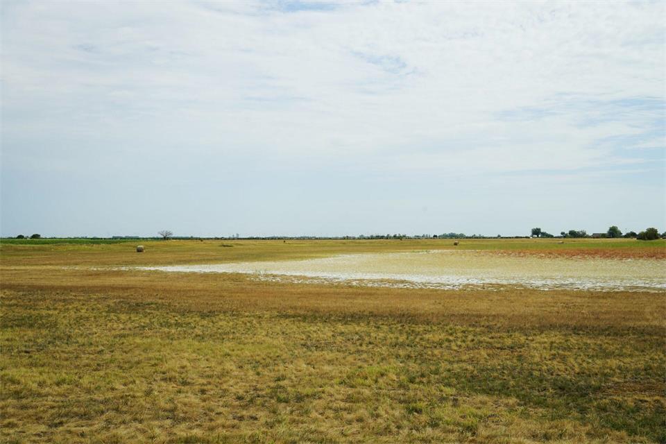 Viele der Salzlacken im Seewinkel trocknen im Sommer vorübergehend aus. Allerdings sind in den vergangenen 200 Jahren auch etliche komplett verschwunden.Stefan Weißenborn/dpa-tmn