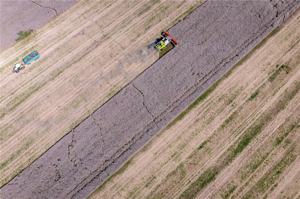 Viele landwirtschaftlich genutzte Böden sind laut Naturschützern durch Bodenerosion gefährdet - auch in Mecklenburg-Vorpommern. (Symbolbild)Jens Büttner/dpa