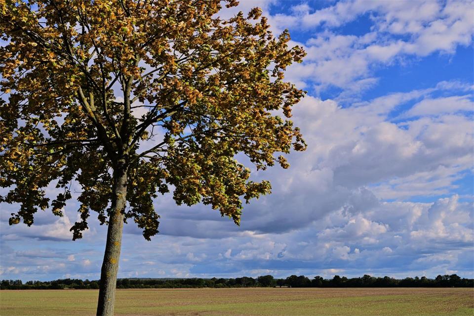 Vielen Menschen in Deutschland stehen sonnige Herbsttage bevor.Patrick Pleul/dpa