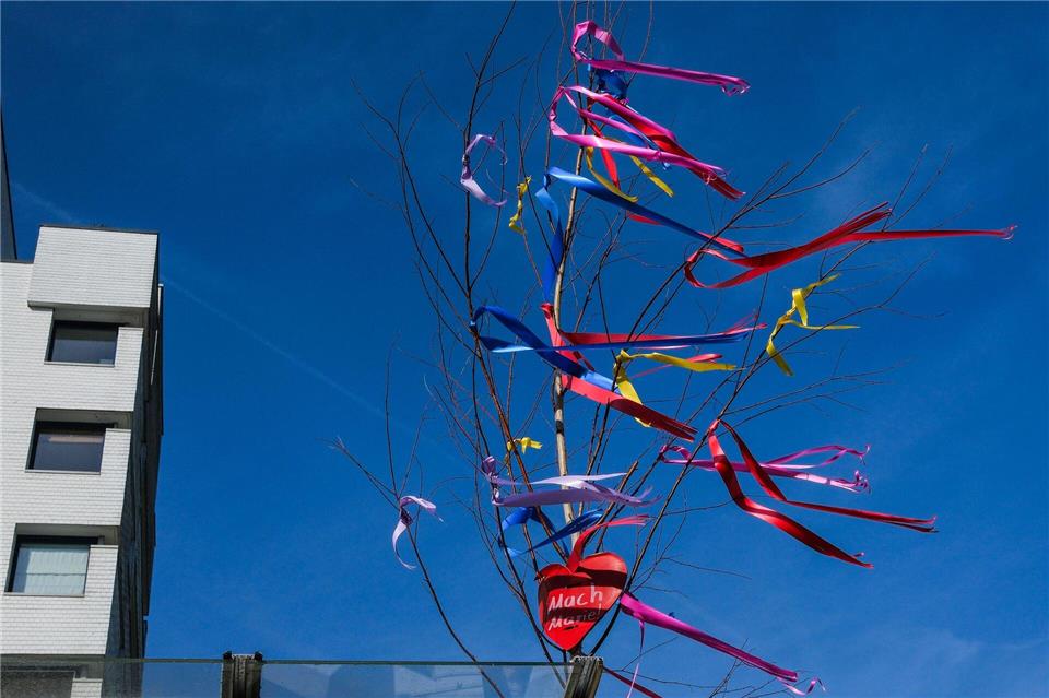 Vielerorts gibt es Verkaufsstellen für Maibäume. Oliver Berg/dpa