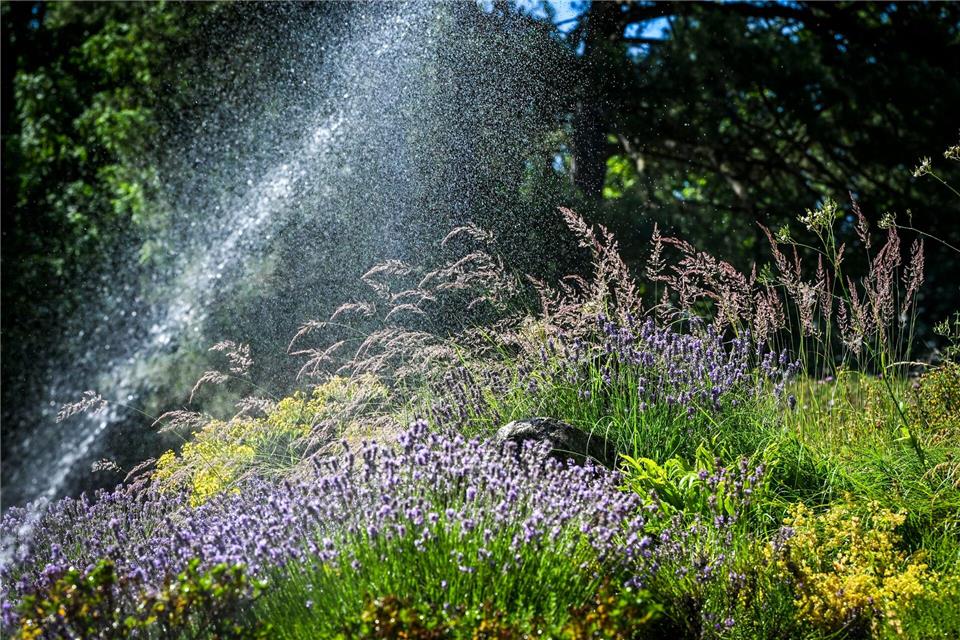 Vielerorts sollte der Garten nicht mehr gegossen werden. (Symbolbild)Jens Kalaene/dpa