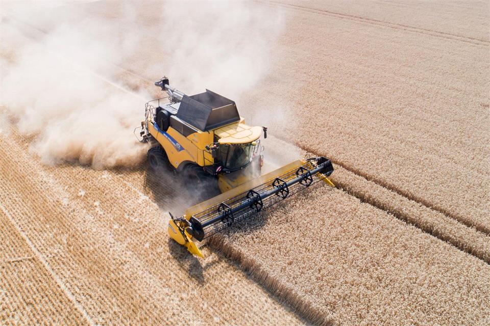 Vielerorts war es für die Landwirtschaft lange viel zu trocken. (Archivbild)Julian Stratenschulte/dpa