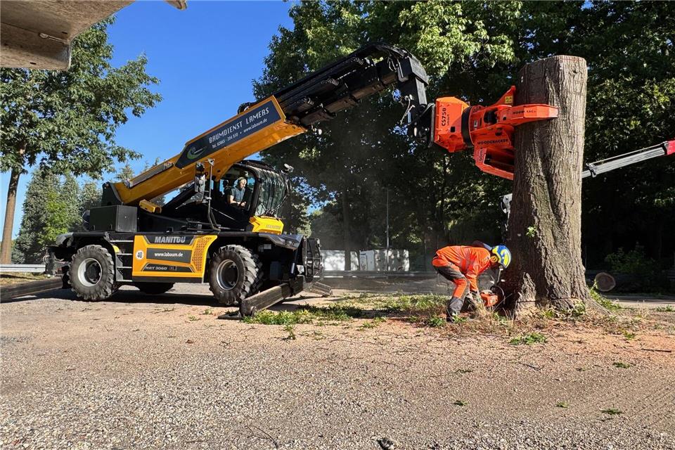 Vieles wird mit modernen Maschinen erledigt.