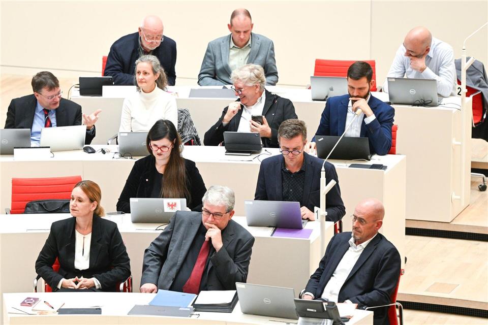 Vier Abgeordnete der BSW-Landtagsfraktion in Brandenburg sind aus der Partei ausgetreten - einer ist inzwischen wieder in der Partei (Archivbild).Jens Kalaene/dpa