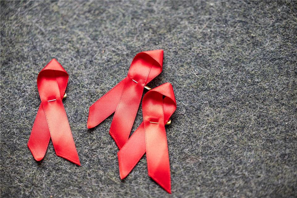 Vier Menschen sind voriges Jahr in Sachsen-Anhalt an einer HIV-Infektion gestorben. (Archivbild)Hannes P Albert/dpa