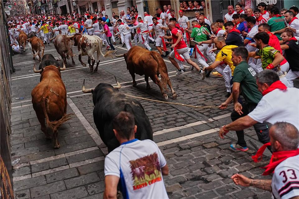 Vierter Stierlauf des San-Fermín-Festes: Teilnehmer laufen neben den Kampfstieren von Álvaro Núnez her.Miguel Oses/AP/dpa