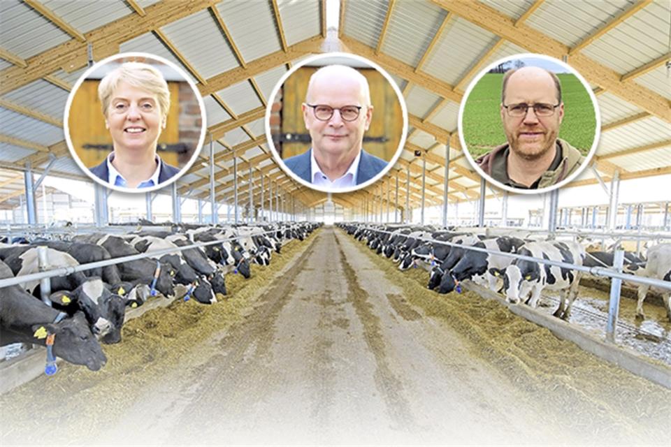 (V.l.) Susanne Schulze Bockeloh, Hubertus Beringmeier und Joachim Pehle kandidieren für die Nachfolge von Johannes Röring.