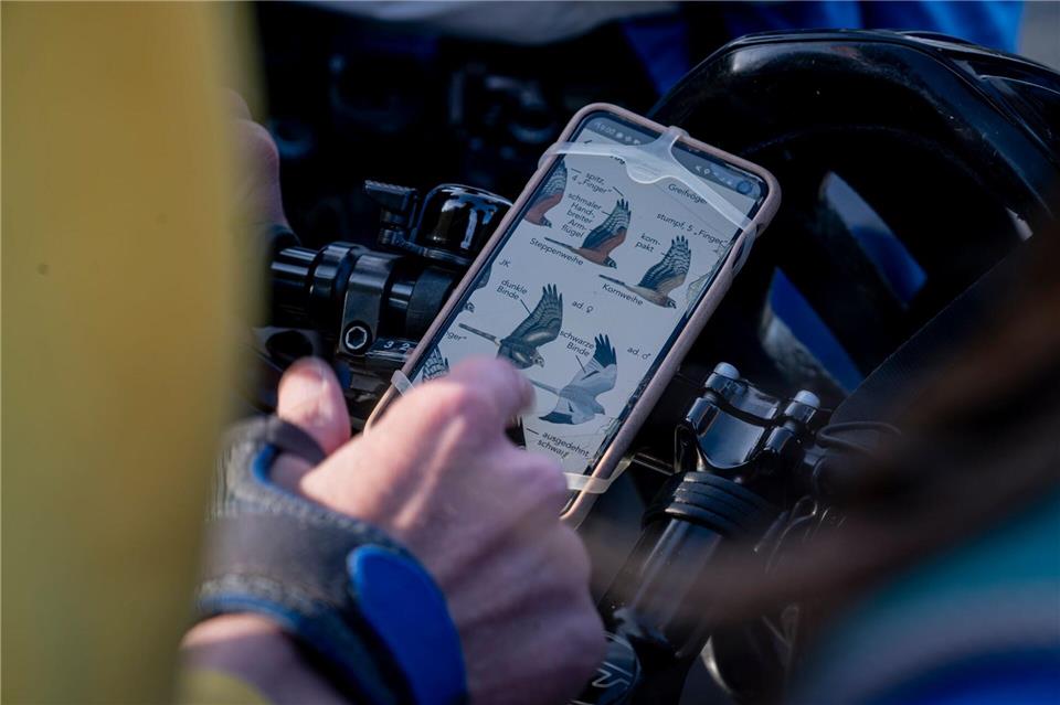 Vogel-Bestimmung via Smartphone.Fabian Sommer/dpa