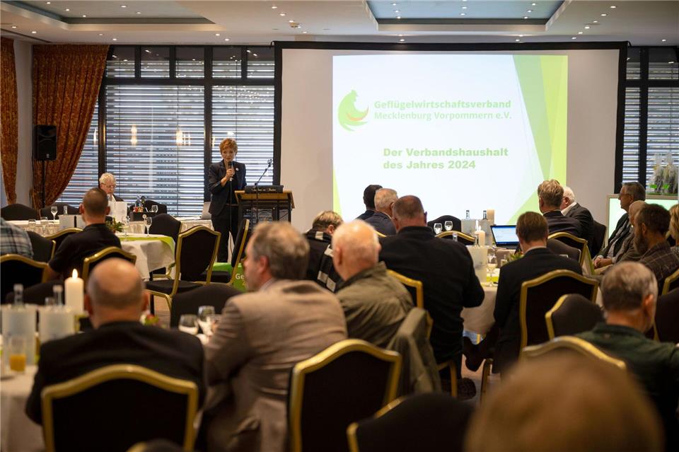 Vogelgrippe: Geflügelwirtschaft fordert Stallpflicht  Vogelgrippe war auch ein zentrales Thema der Mitgliederversammlung des Geflügelwirtschaftsverbandes MV.Philip Dulian/dpa