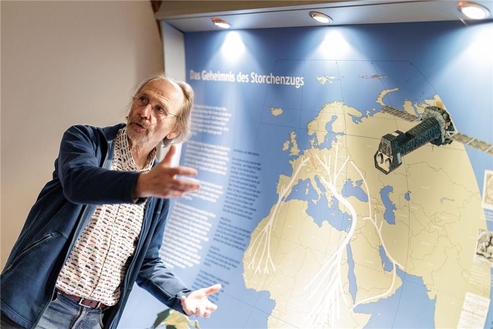 Vogelschützer Alfons Rolf Bense zeigt im Westfälischen Storchenmuseum eine Karte mit den Zugstrecken der Störche zu den Winterquartieren. Eine Hauptroute führt nach Westen über die Meerenge von Gibraltar nach Afrika. Viele dieser Westzieher fliegen aber gar nicht mehr so weit über das Mittelmeer. Die andere Hauptroute führt Richtung Osten über den Bosporus nach Afrika. David Ebener/dpa