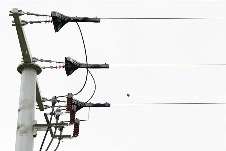 Vogelschutzmaßnahmen sollen verhindern, dass Vögel in Kontakt mit den Freileitungen kommen. (Archivbild)Bernd Wei�brod/dpa