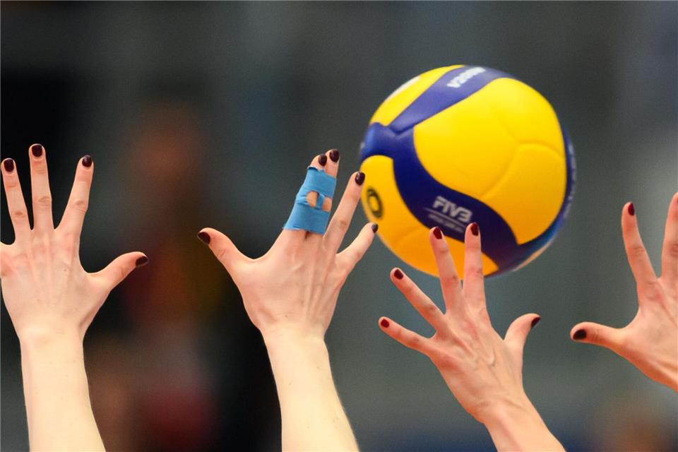 Volleyballerinnen des Dresdner SC gewinnen souverän in Flacht. (Symbolbild)Robert Michael/dpa