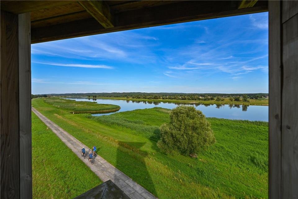 Was man über den Nationalpark Unteres Odertal wissen muss Vom Aussichtsturm hat man einen Blick auf die Oder - den deutsch-polnischen Grenzfluss, der sich mitten durch den einzigen Auen-Nationalpark Deutschlands schlängelt. (Archivbild)Patrick Pleul/dpa/ZB