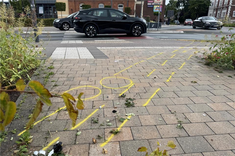 Vom Beet zurück auf die Straße: Das Auto hinterließ eine Schneise in einem Beet.