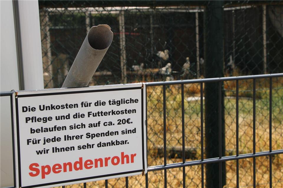 Vom Bürgersteig aus können Spaziergänger Geld in das „Spendenrohr“ werfen, um die „Storchenscheune“ zu unterstützen, die sich um kranke und noch nicht flugfähige Störche kümmert.Katja Sponholz/dpa