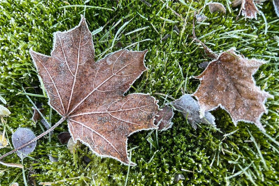 Vom Kälterekord ist das Wetter in Deutschland noch weit entfernt.Britta Pedersen/dpa