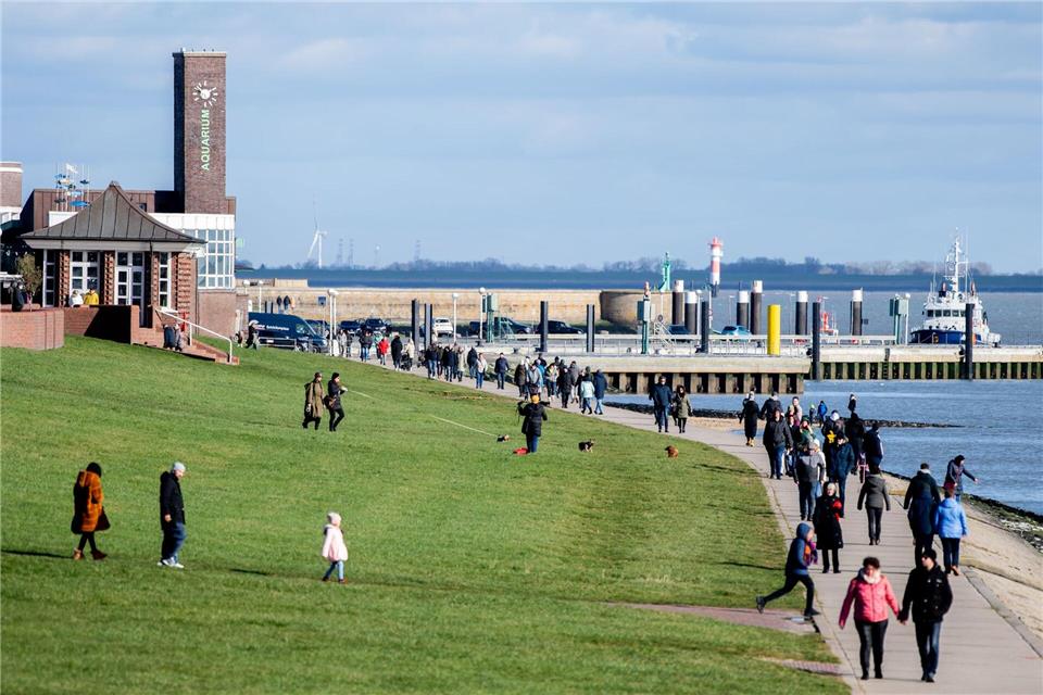 Vom Wilhelmshavener Südstrand aus kann man die Meeressäuger sichten. (Archivbild)Hauke-Christian Dittrich/dpa
