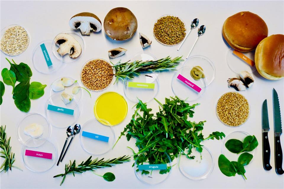 Von KI entworfene Zutaten für einen nachhaltigen und dabei leckeren Burger: unter anderem Zucht-Champignons, Rucola, Rosmarin, Körner und Gewürze.Living Matter Lab / EurekAlert/dpa