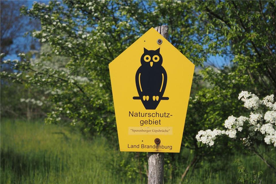 Von Naturschutzpionieren aus Bad Freienwalde entwickelt: Die bekannte Naturschutz-Eule.Soeren Stache/dpa-Zentralbild/ZB