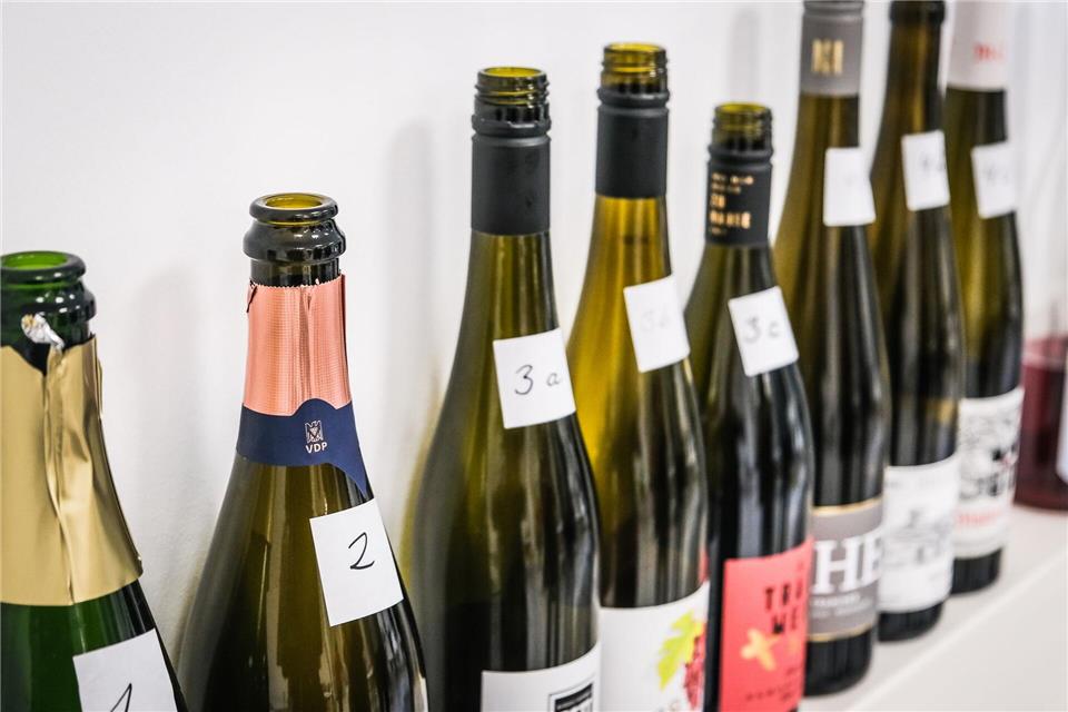 Von Profis lernen: Bei Weinverkostungen oder Seminaren lernt man Kontraste kennen, vergleicht etwa den jungen mit dem gereiften Weißwein. Ricarda Dieckmann/dpa-tmn