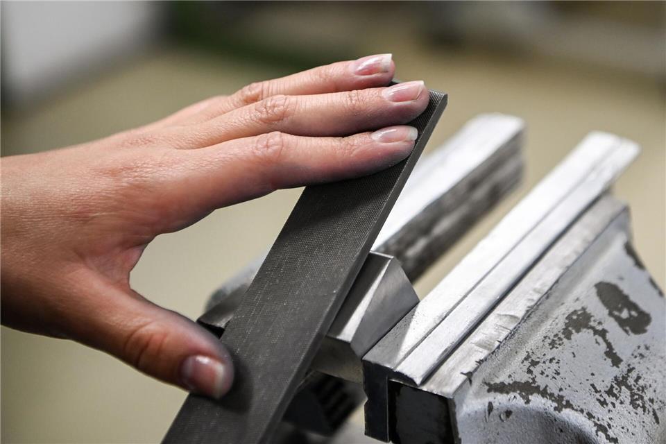 Von den insgesamt annähernd 5.000 Azubis in einem Handwerksberuf in MV sind 848 Mädchen. (Symbolbild)Jens Kalaene/dpa-Zentralbild/ZB