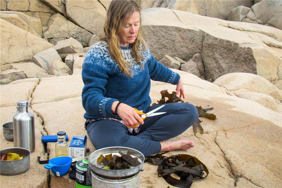 Von der Bucht auf den Teller: Linnea Sjögren verarbeitet frisch geerntete Algen.Sabine Glaubitz/dpa-tmn