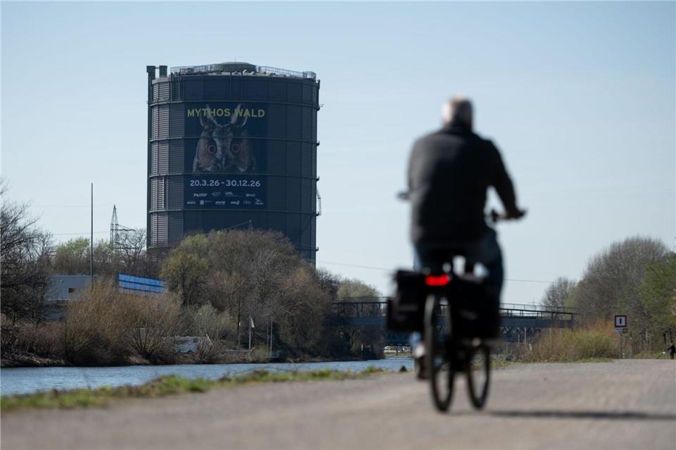 Von der Wurzel bis in die Baumkrone leuchtet es: Ein 35 Meter hoher Baum aus Licht steht im Mittelpunkt der Ausstellung im Gasometer Oberhausen. (Archivbild)Fabian Strauch/dpa