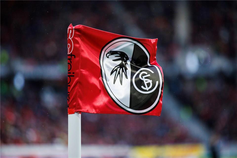 Von der kommenden Saison an verstärkt die Schweizer Torhüterin Lorena Barth den SC Freiburg. (Symbolbild)Tom Weller/dpa