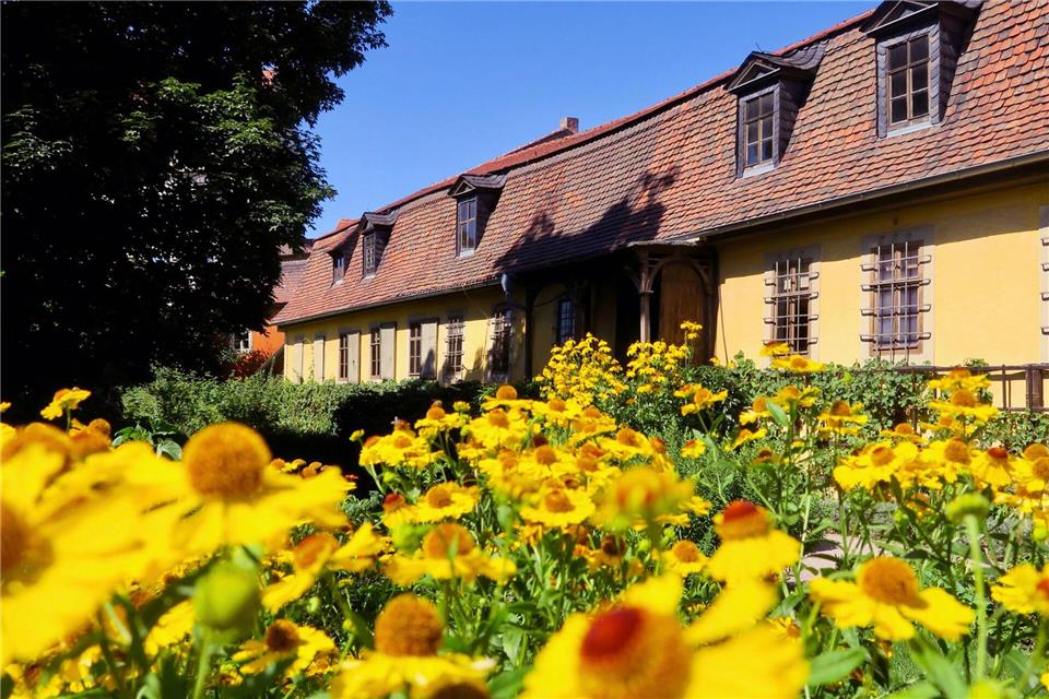 Vor Goethes Wohnhaus sprießt und blüht es: Der Garten soll bis zu geplanten Wiedereröffnung im Jahr 2030 neu angelegt werden. Daniela David/dpa-tmn