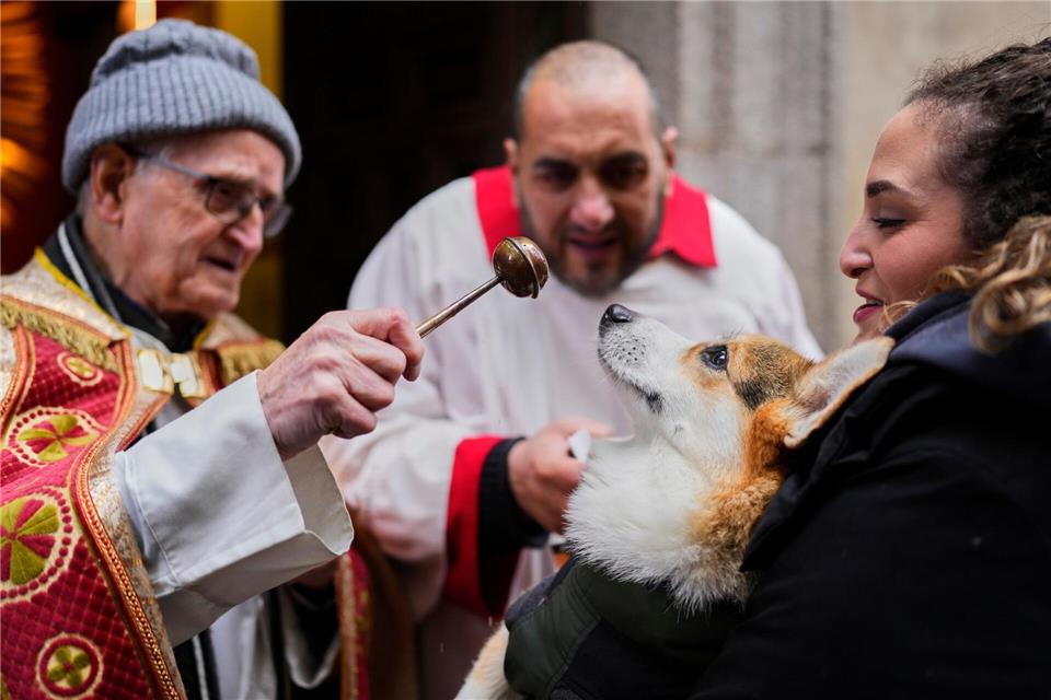 Vor allem Hunde und Katzen werden von ihren Haltern zur Segnung vor der Kirche San Antón in Madrid gebracht.Manu Fernandez/AP/dpa