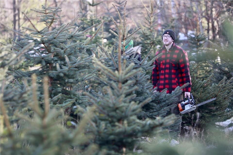 Vor allem bei Familien oder als Event mit Freunden liegt das Weihnachtsbaumschlagen im Trend. (Archivbild)Matthias Bein/dpa
