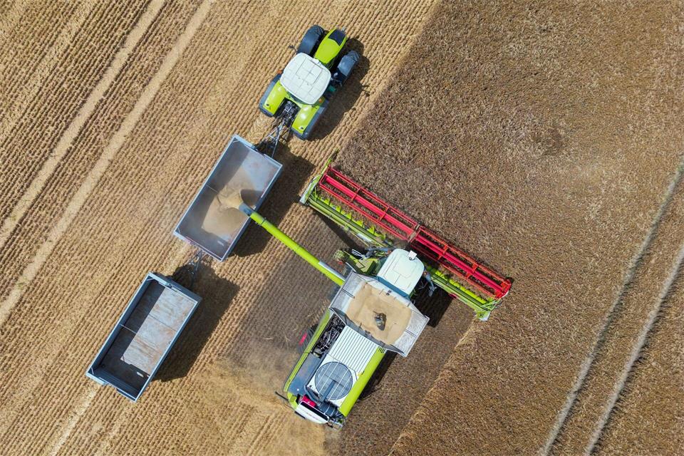 Vor allem große Betriebe sind auf die finanziellen Hilfen nach Angaben der Bauernverbände angewiesen. (Archivbild) Patrick Pleul/dpa
