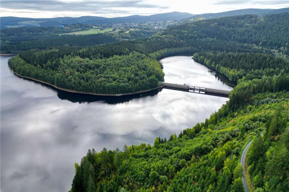 Vor allem im Erzgebirge gibt es viel Wald, so wie hier an der Talsperre Eibenstock.Hendrik Schmidt/dpa