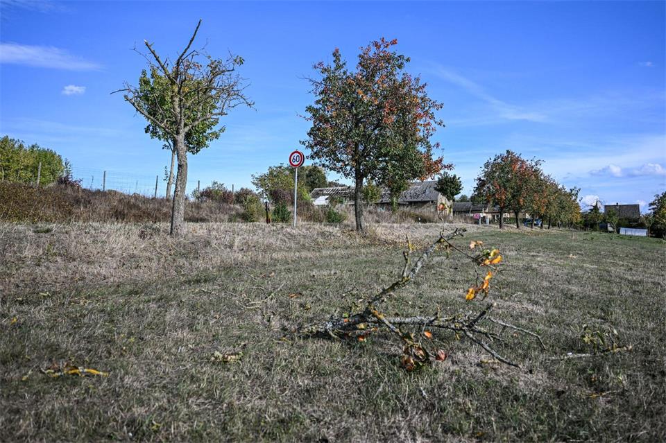 Vor dem Absturz hatte es einen Baum gestreift. Marius Bulling/onw-images/dpa