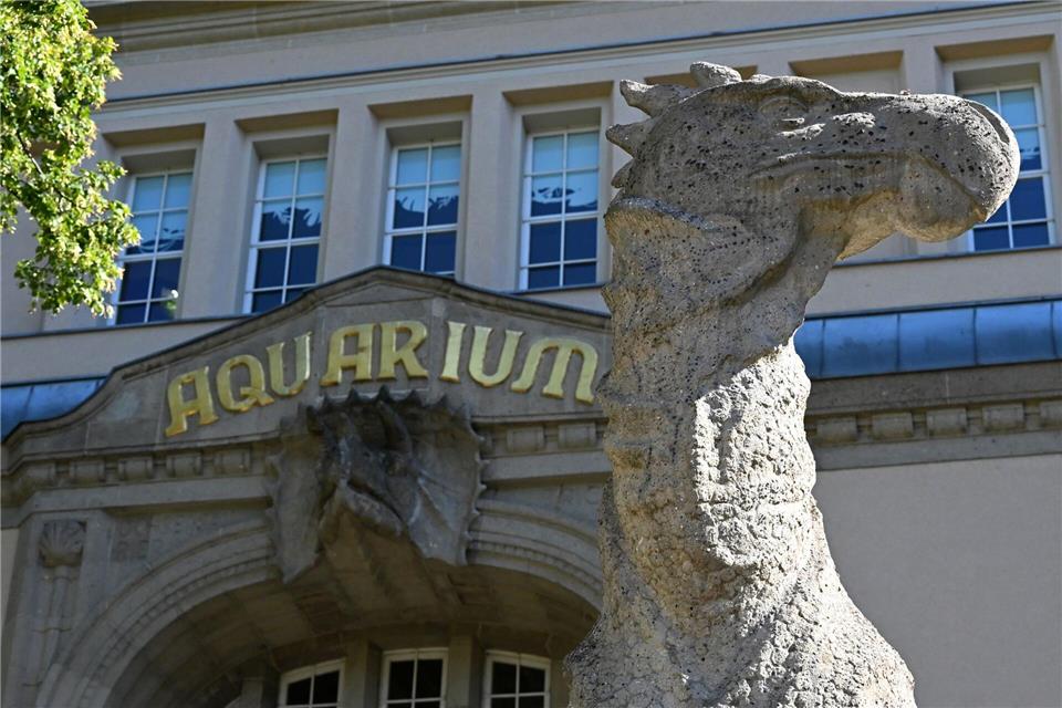 Vor dem Aquarium des Berliner Zoos steht eine Nachbildung eines Dinosauriers aus der Kreidezeit. Michael Brandt/dpa