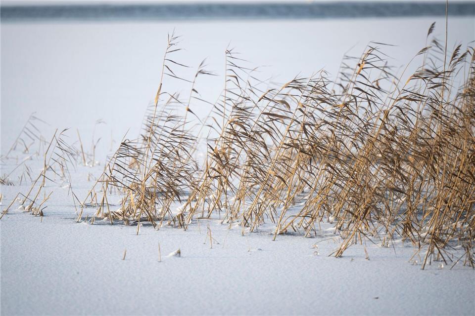 Vor dem Betreten von zugefrorenen Gewässern wird gewarnt. (Symbolbild)Philip Dulian/dpa