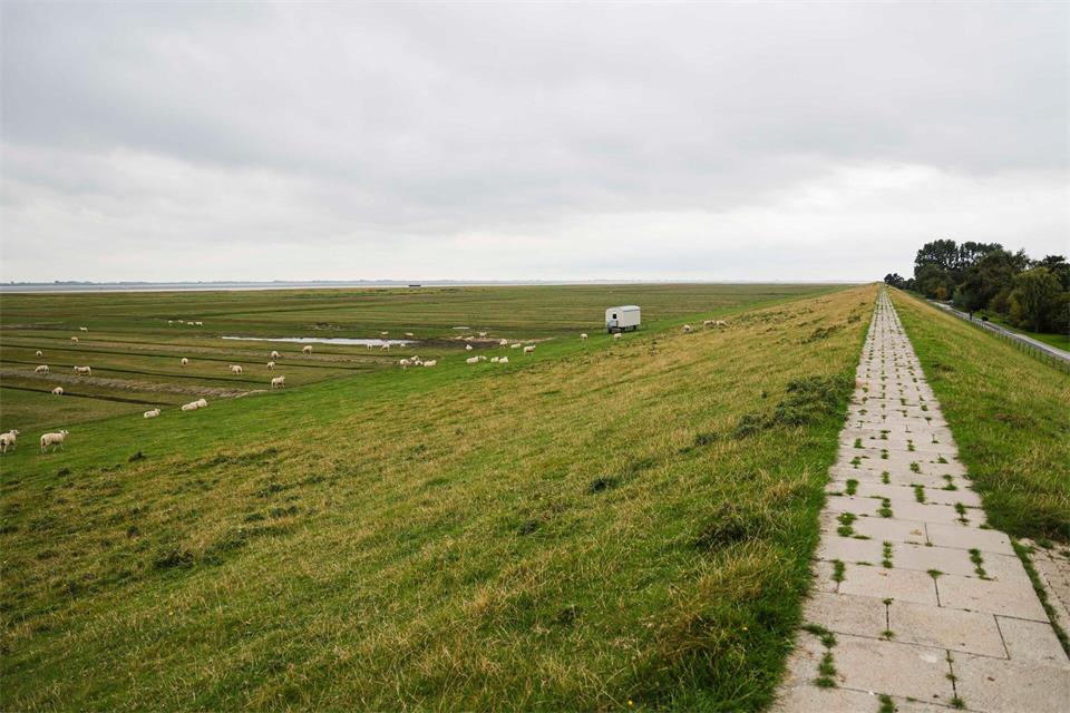 Vor der Sturmflutsaison wird kontrolliert, ob die Deiche an der Westküste wehrhaft sind (Archivbild).Frank Molter/dpa