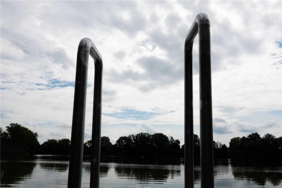 Vor etwa einem Jahr hatte bereits einmal ein Wels in einem See in Mittelfranken für Aufsehen gesorgt. (Symbolbild)Hilal Özcan/dpa