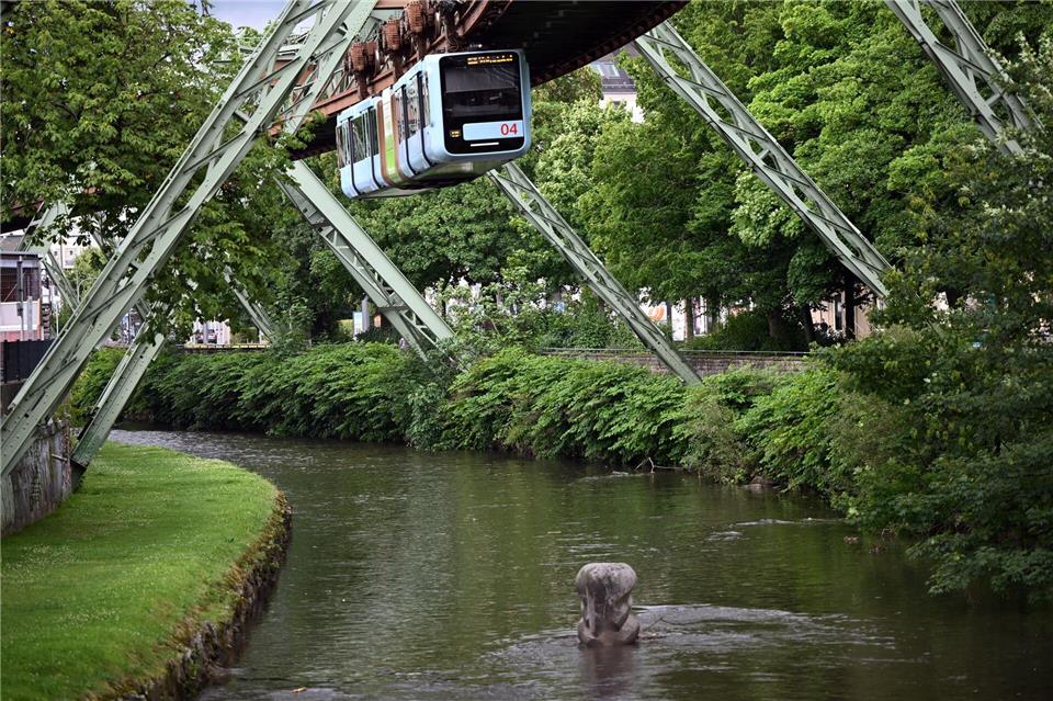 Vor mehr als 75 Jahren stürzte der kleine Elefant Tuffi aus einem Wagen der Schwebebahn in die Wupper (Archivbild). Der Tuffi-Stein erinnert daran.Federico Gambarini/dpa