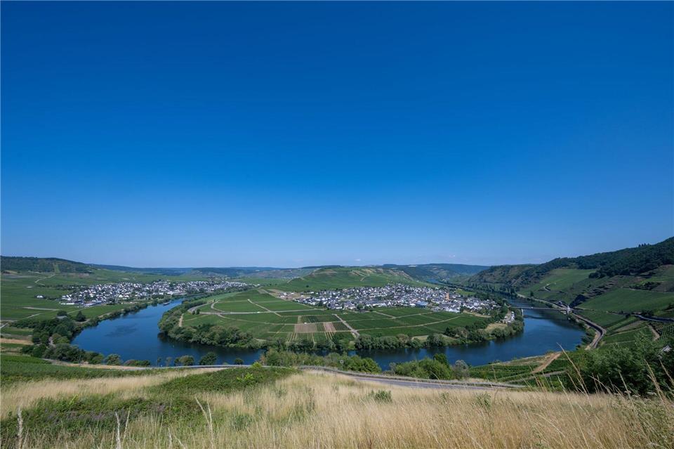 Vorerst ist der Himmel strahlend blau über der Mosel und den angrenzenden Weinbergen bei Trittenheim in Rheinland-Pfalz. Harald Tittel/dpa