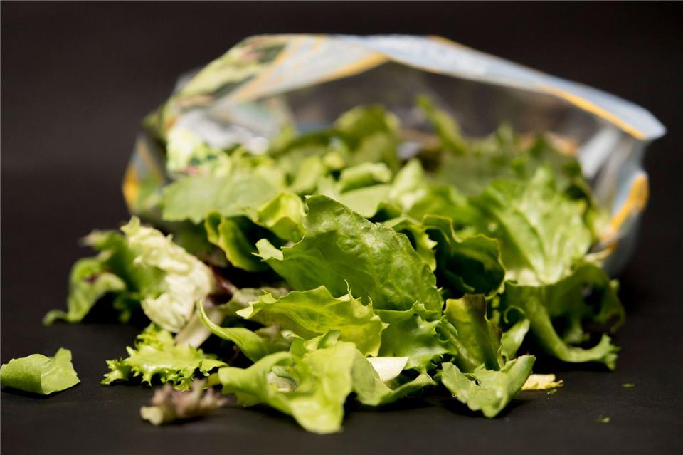 Vorgeschnittener Salat aus der Tüte kann mit Keimen belastet sein: Gründliches Waschen vor dem Verzehr ist wichtig, auch wenn „vorgewaschen“ auf der Verpackung steht.Robert Günther/dpa-tmn