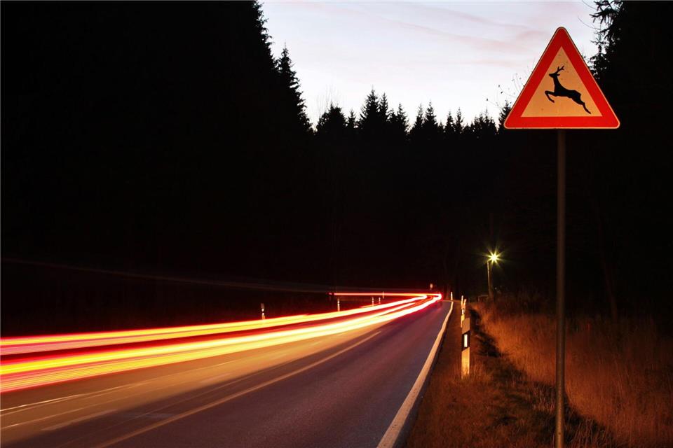 „Vroooaaammm“ - nein, besser nicht rasen, vor allem nicht, wenn solche Schilder vor Wildwechseln warnen.picture alliance/dpa